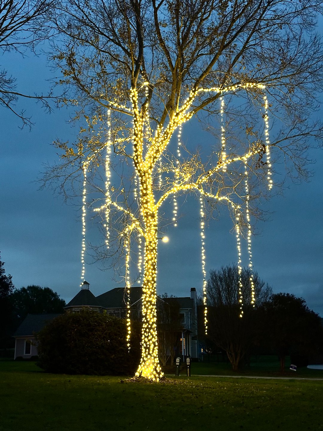 Christmas Light Installation in Mooresville – Cascading Tree Lights & C9 Roofline Glow